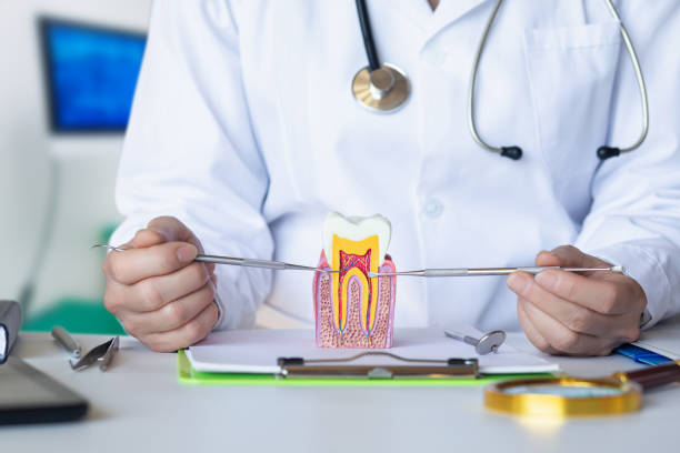 Best Broken Tooth Emergency  in Spencer, TN